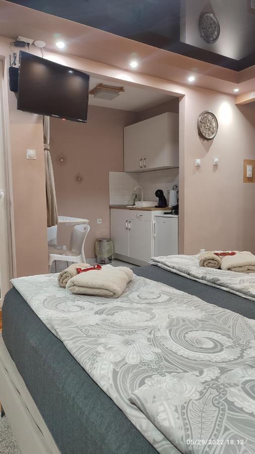 Iva Lux Apartman Zaječar Zewnętrze zdjęcie